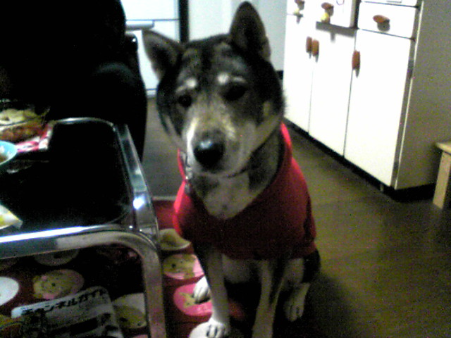 f0079202_21285833.jpg
