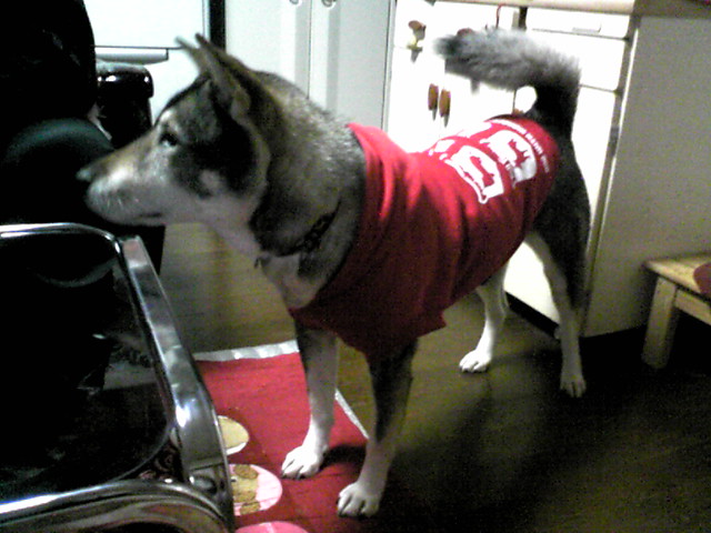 f0079202_21285843.jpg