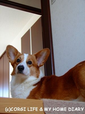 c0153410_16421231.jpg