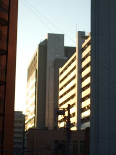 f0129610_16455219.jpg