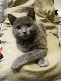c0083618_2028889.jpg