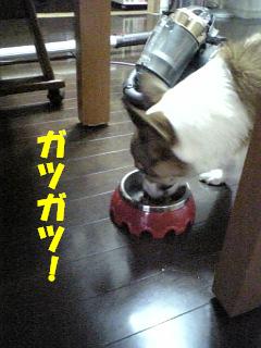 f0182121_100688.jpg