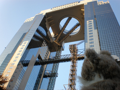 c0177124_2045942.jpg