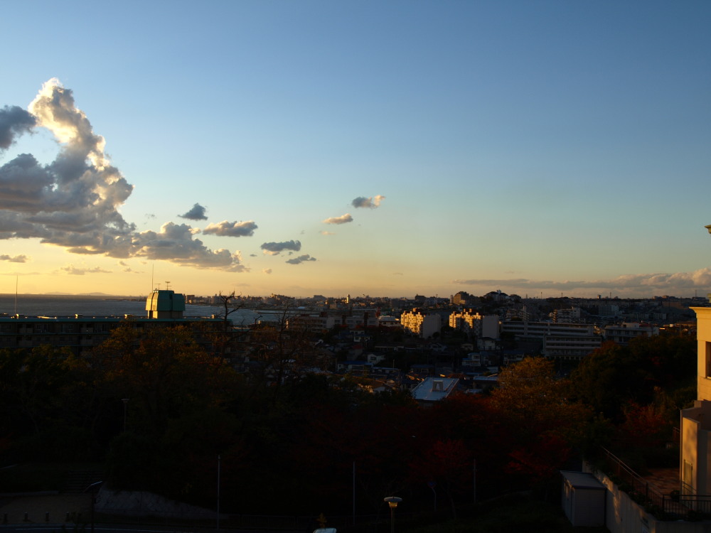 e0161426_145680.jpg