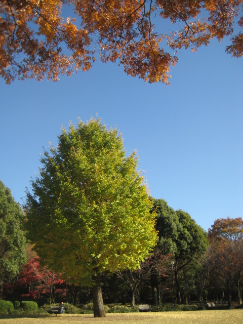 d0147727_21283169.jpg
