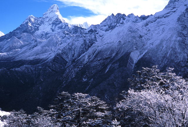 d0091834_12163319.jpg