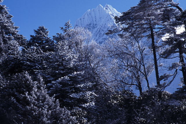 d0091834_12165588.jpg