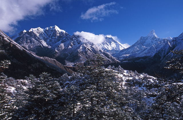 d0091834_12174149.jpg