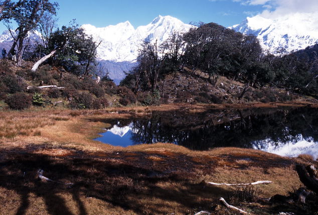 d0091834_1331189.jpg