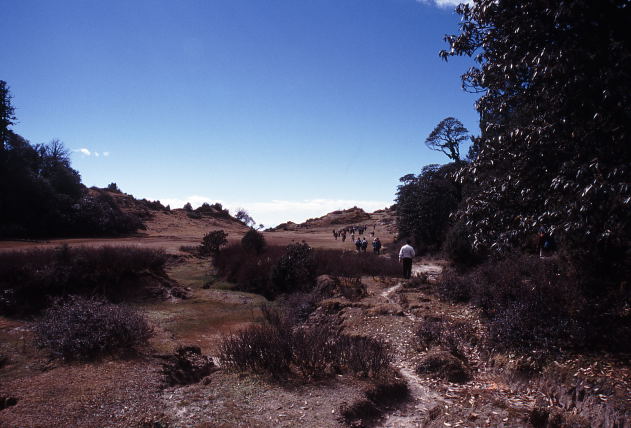 d0091834_133161.jpg