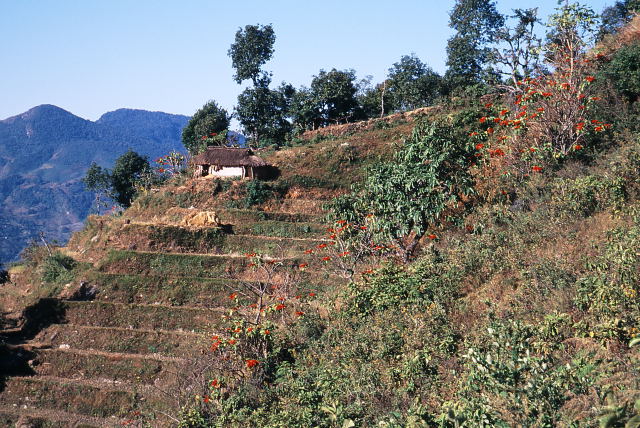 d0091834_13345679.jpg
