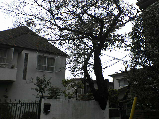 e0089438_11595622.jpg