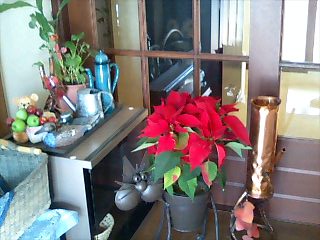 c0117239_1364275.jpg