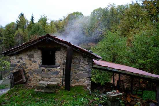 e0121545_17582539.jpg