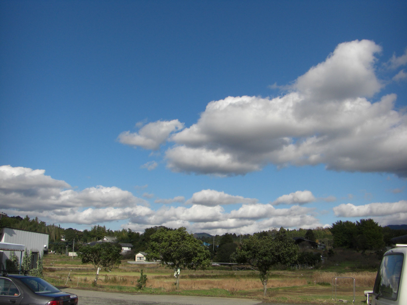 a0012449_74044.jpg