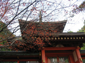 c0073649_223163.jpg