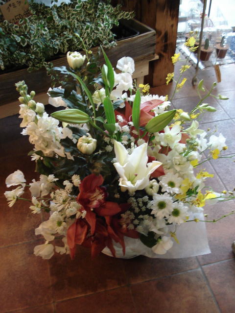 f0041850_18302186.jpg
