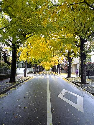 c0179152_17371112.jpg