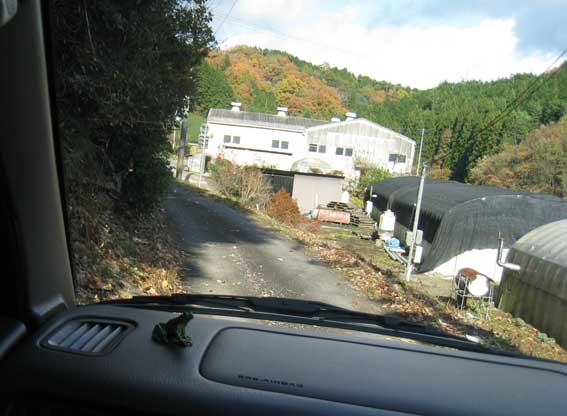 d0134156_1352546.jpg