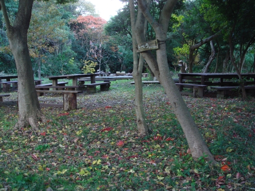 c0108460_17375399.jpg