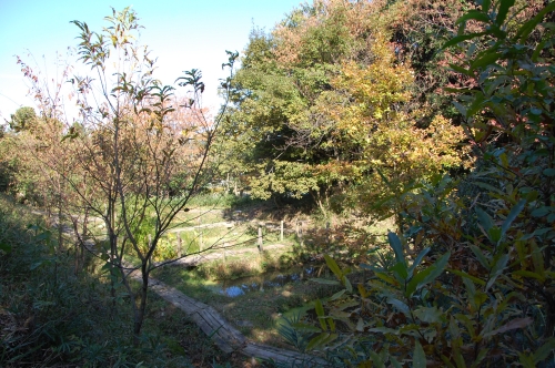 c0108460_17385918.jpg