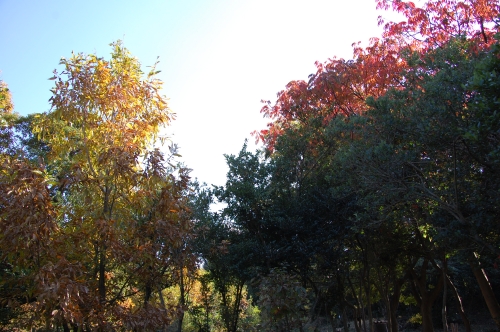 c0108460_17403834.jpg