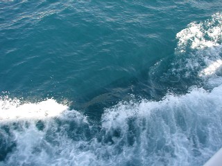 c0177361_23502492.jpg
