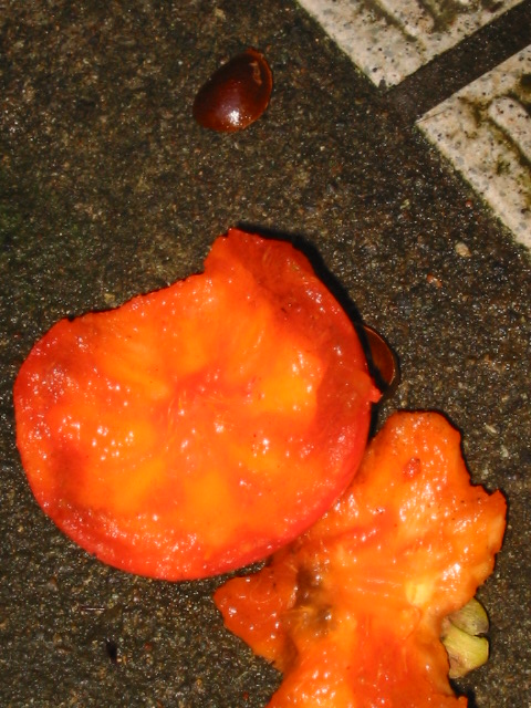 d0094868_12392848.jpg