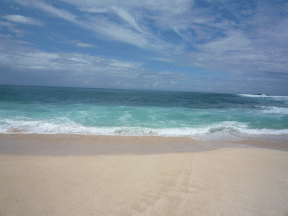 f0186671_14353417.gif