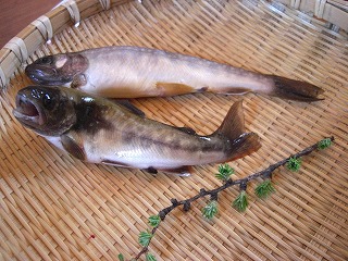 f0032872_1736010.jpg