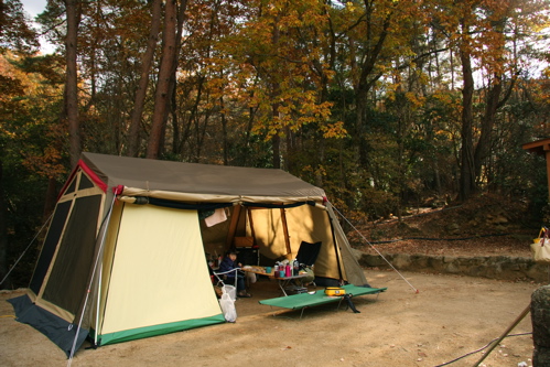 c0151875_11114411.jpg