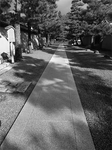 f0089079_29234.jpg