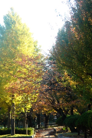 c0135480_110592.jpg