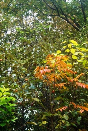 c0135480_23463063.jpg