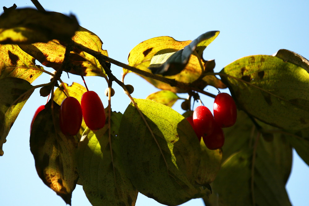 a0083081_1422443.jpg