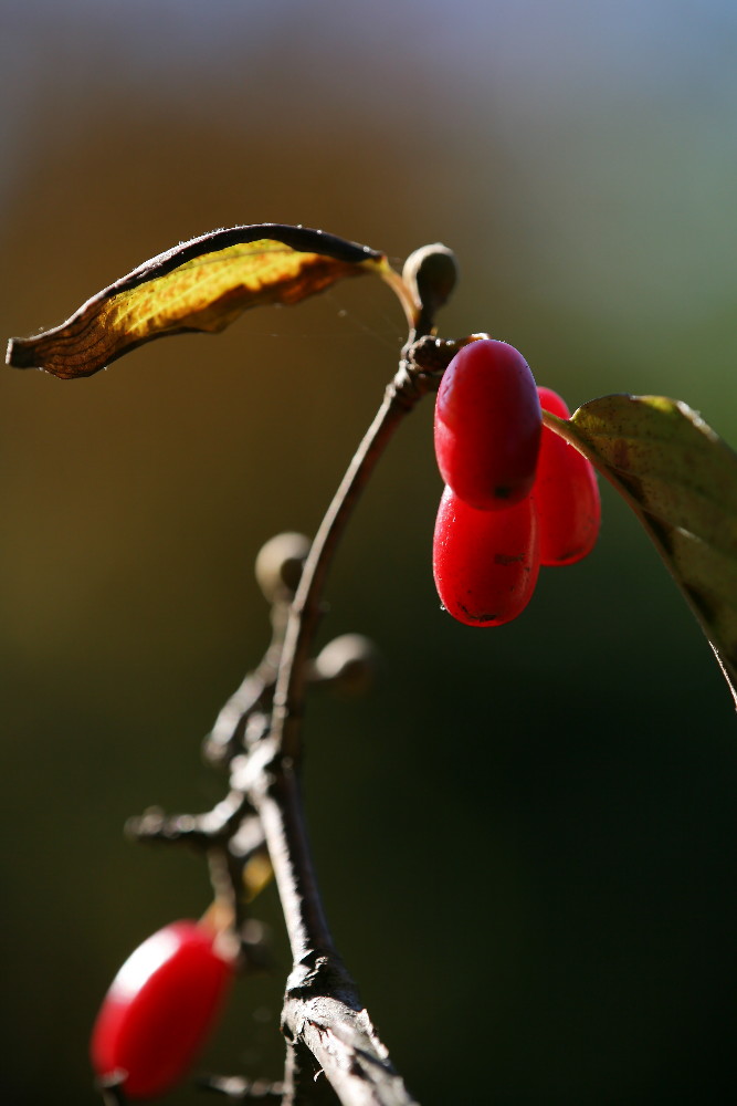 a0083081_14232113.jpg