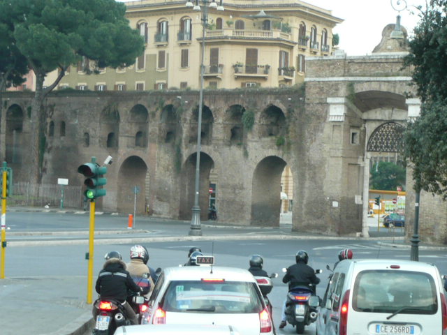 d0099181_191695.jpg
