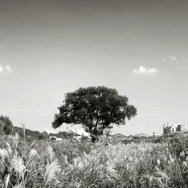 f0167482_20375560.jpg