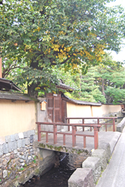 a0062983_2362958.jpg