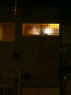 d0138383_12291343.jpg