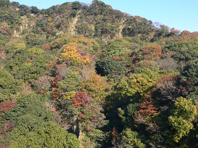 f0103688_22512436.jpg
