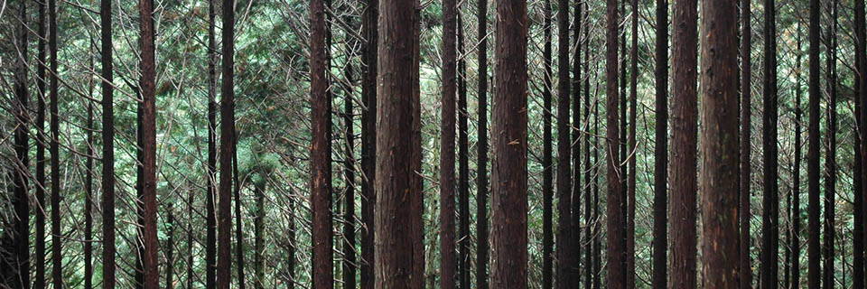 c0170789_184815100.jpg