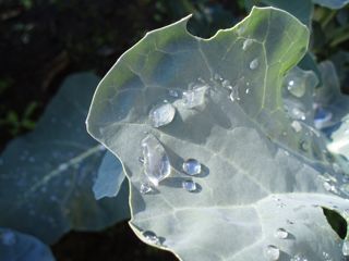 f0130894_19594076.jpg