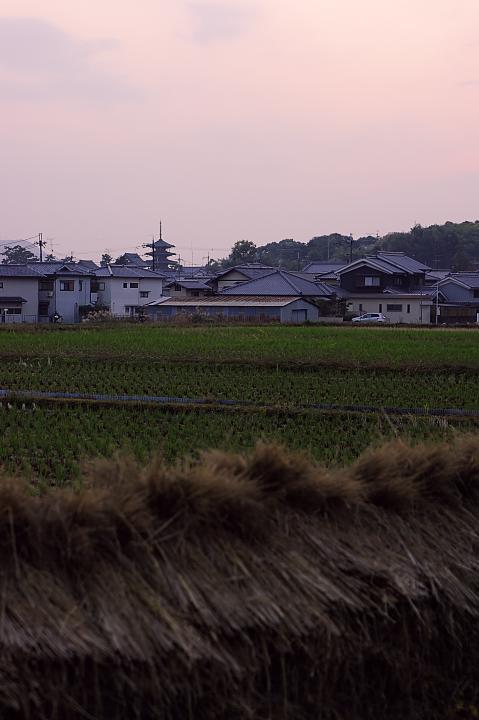 d0069495_22255873.jpg