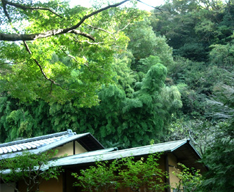 d0129295_10141493.jpg