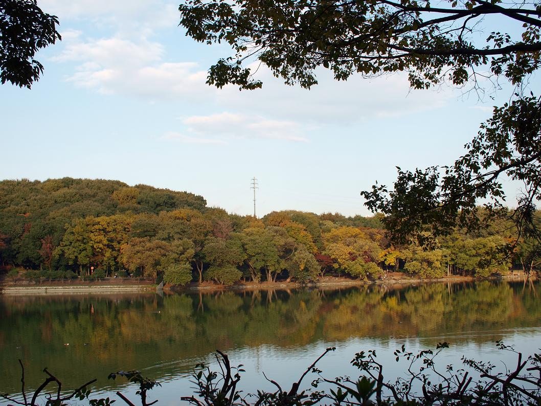 b0138101_23875.jpg