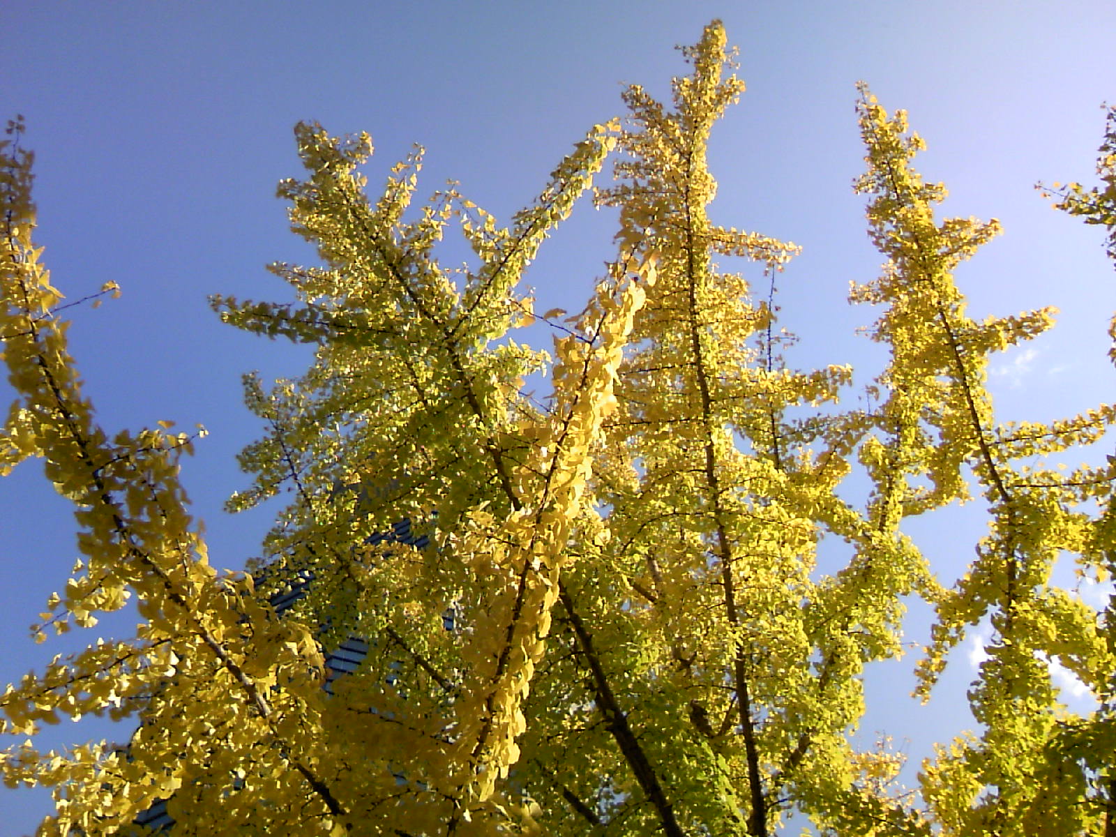 b0009106_22571298.jpg
