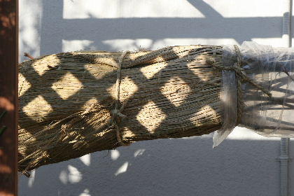 f0041606_2011595.jpg