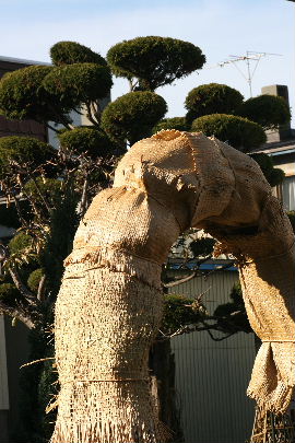 f0041606_201661.jpg
