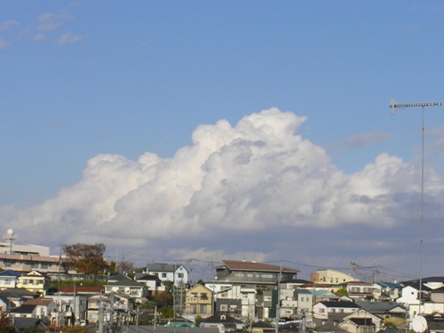 c0158916_1658890.jpg
